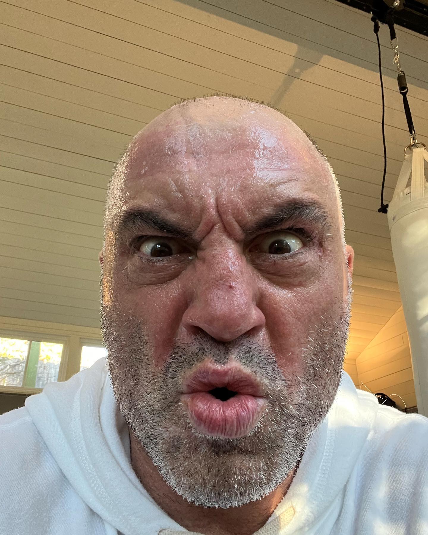 Got up early. Got after it. Feel better now. 
It’s a simple formula but I have to remind myself every time that it works, and that it’s worth it. 
Go get you some. @joerogan