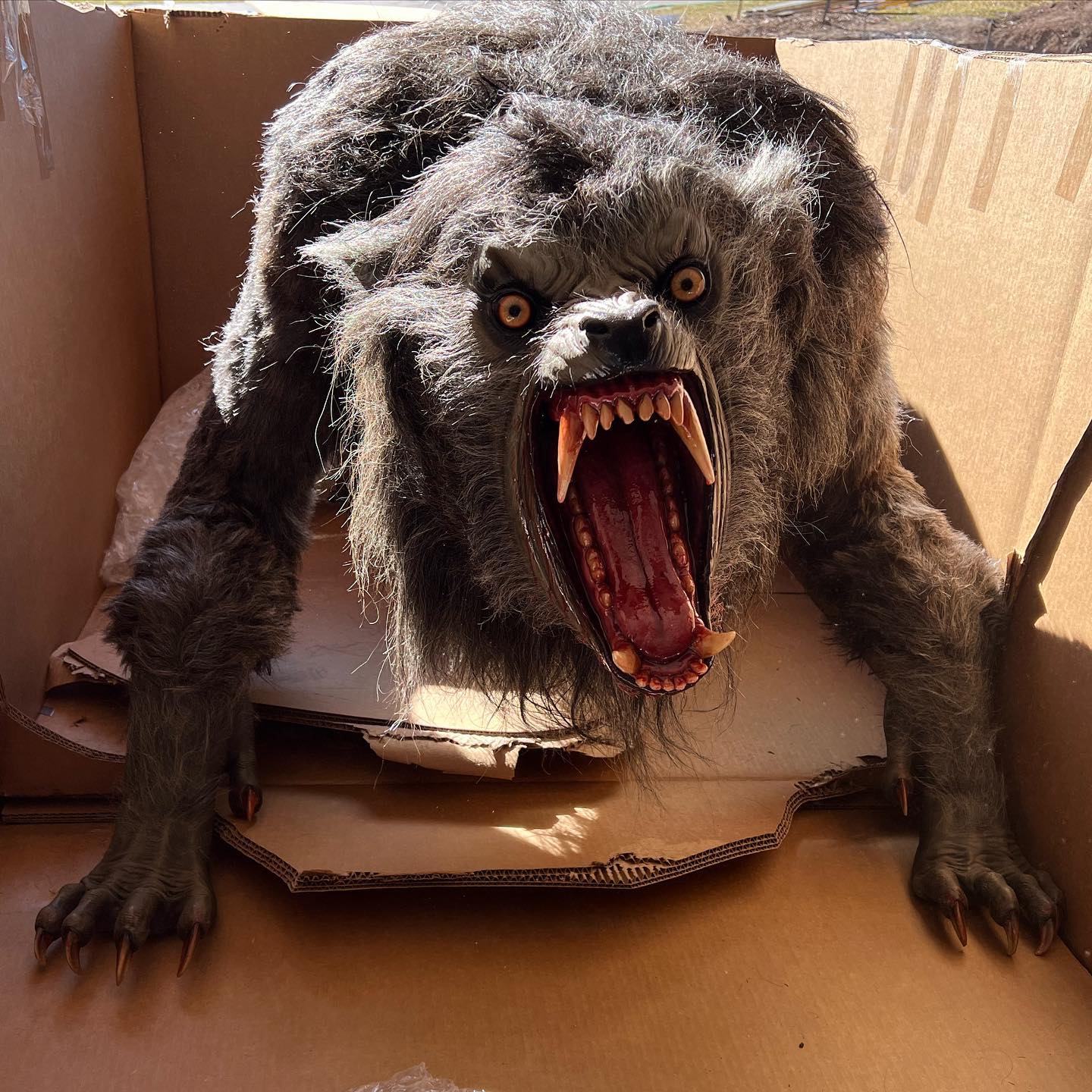 The new studio werewolf has arrived! @mageefx knocked it out of the park with this one!
  @joerogan