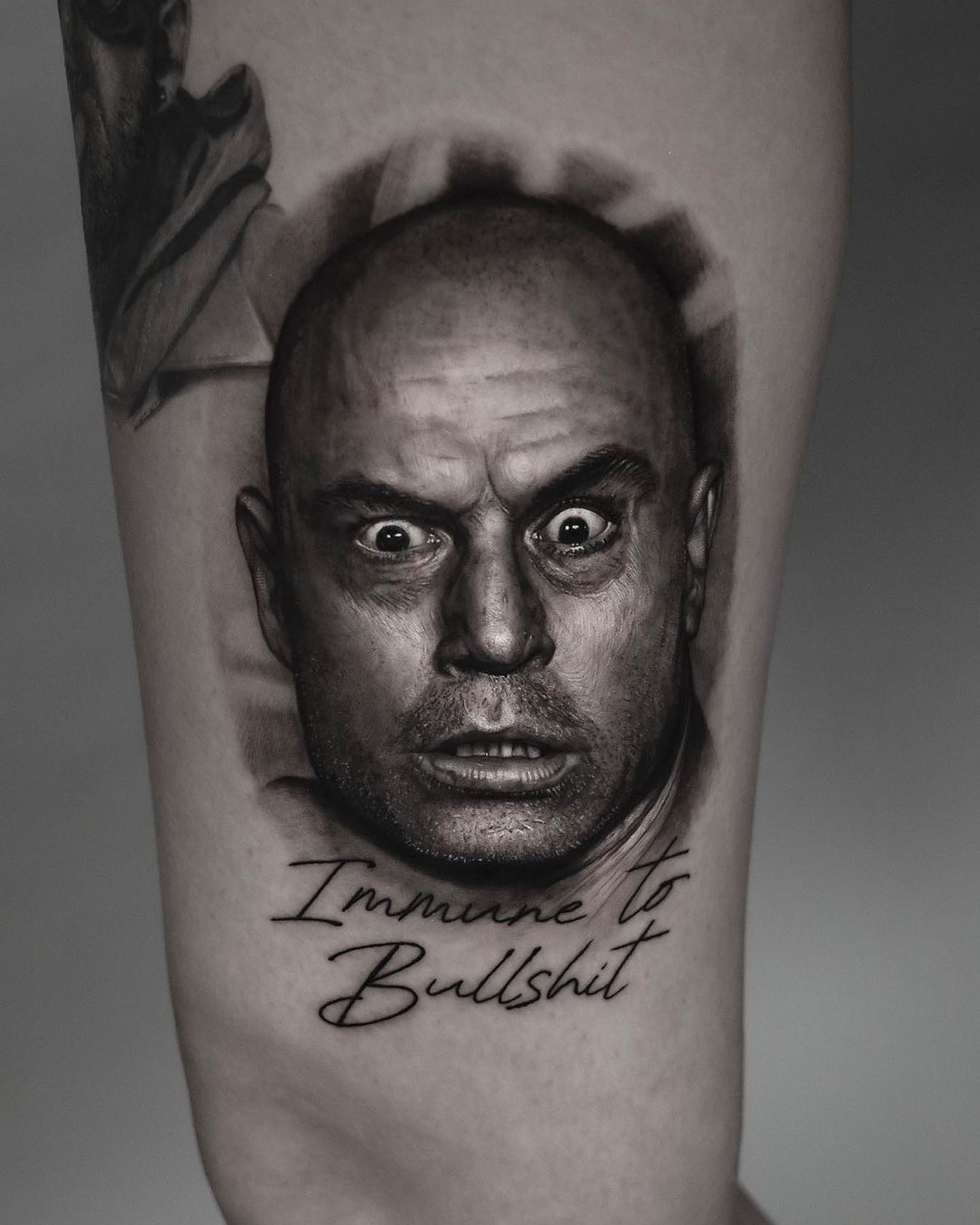 Another image of my goofy mug carved into someone’s flesh with ink.

Never stops being weird, but also never stops being humbling. There’s enough people out there running around with my face on them to occupy a hell of a party.
@ankotattoos ➖ Joseph James Rogan ➖ @joerogan

“Immune to Bullshit”

@inkjecta
@kwadron
@dermalizepro

#joerogan #joerogantattoo #joeroganportrait #joeroganexperience #joeroganpodcast #joeroganart #ankotattoos #tattoo #realistictattoo #portraittattoo #blackandgreytattoo #inkjecta #kwadron #kwadronwolfpack #kwadronneedles #dermalizepro  @joerogan