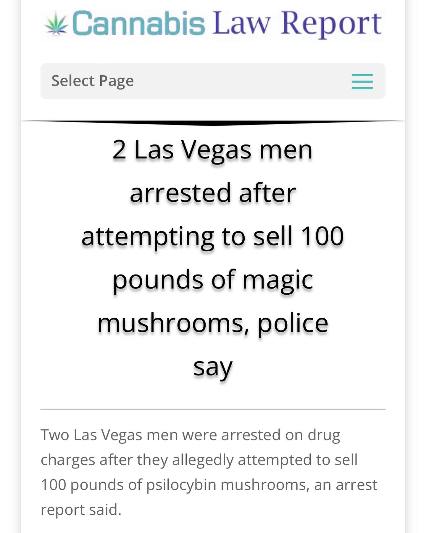   @joerogan