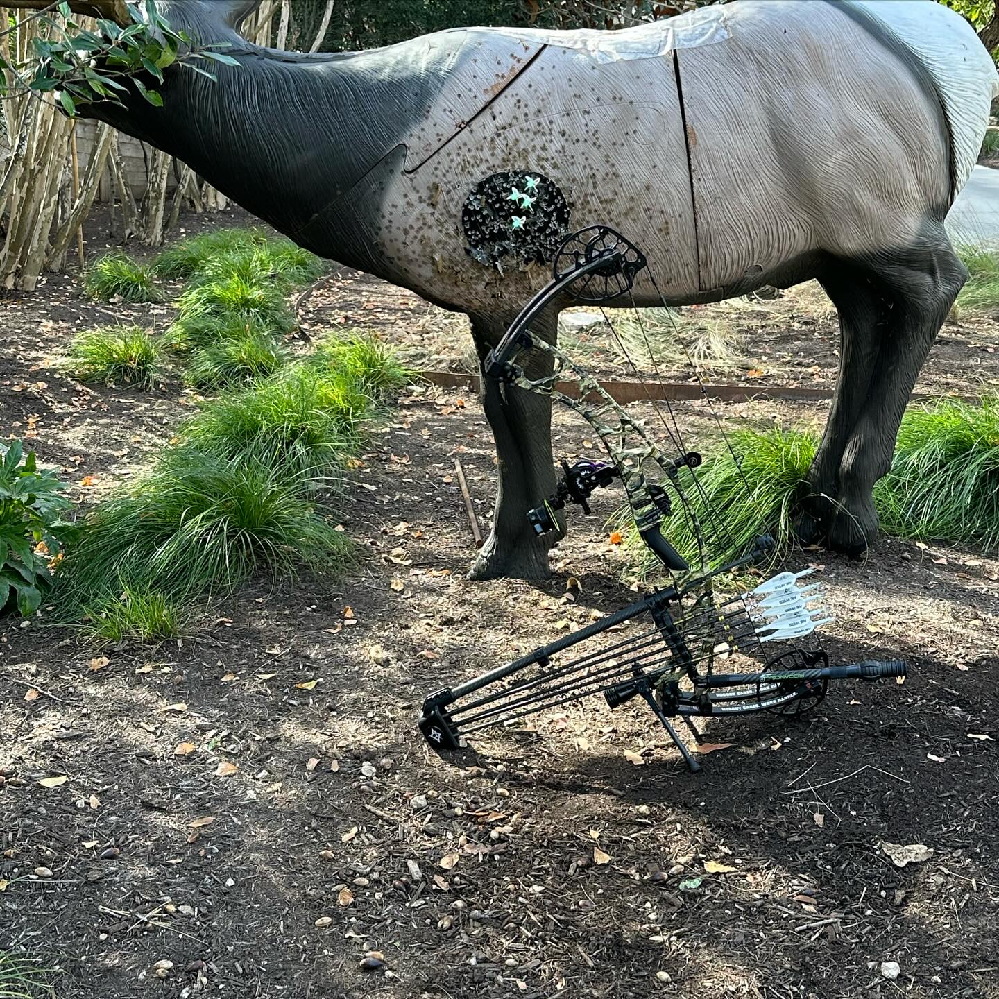 “We lose ourselves in the things we love… we find ourselves there too.” - Fred Bear
74 yards, last group of the day with the new @hoytbowhunting Alpha X 33.  @joerogan