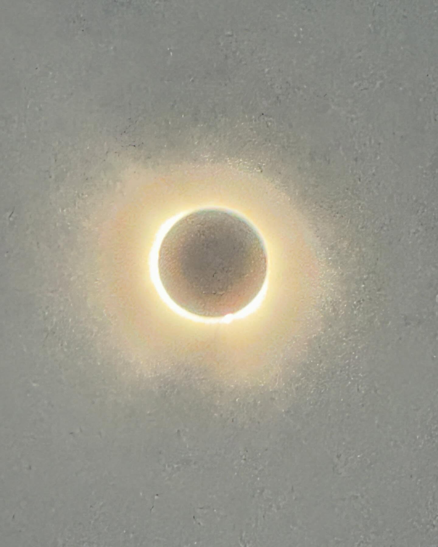 That was pretty fucking dope. #solareclipse2024  @joerogan