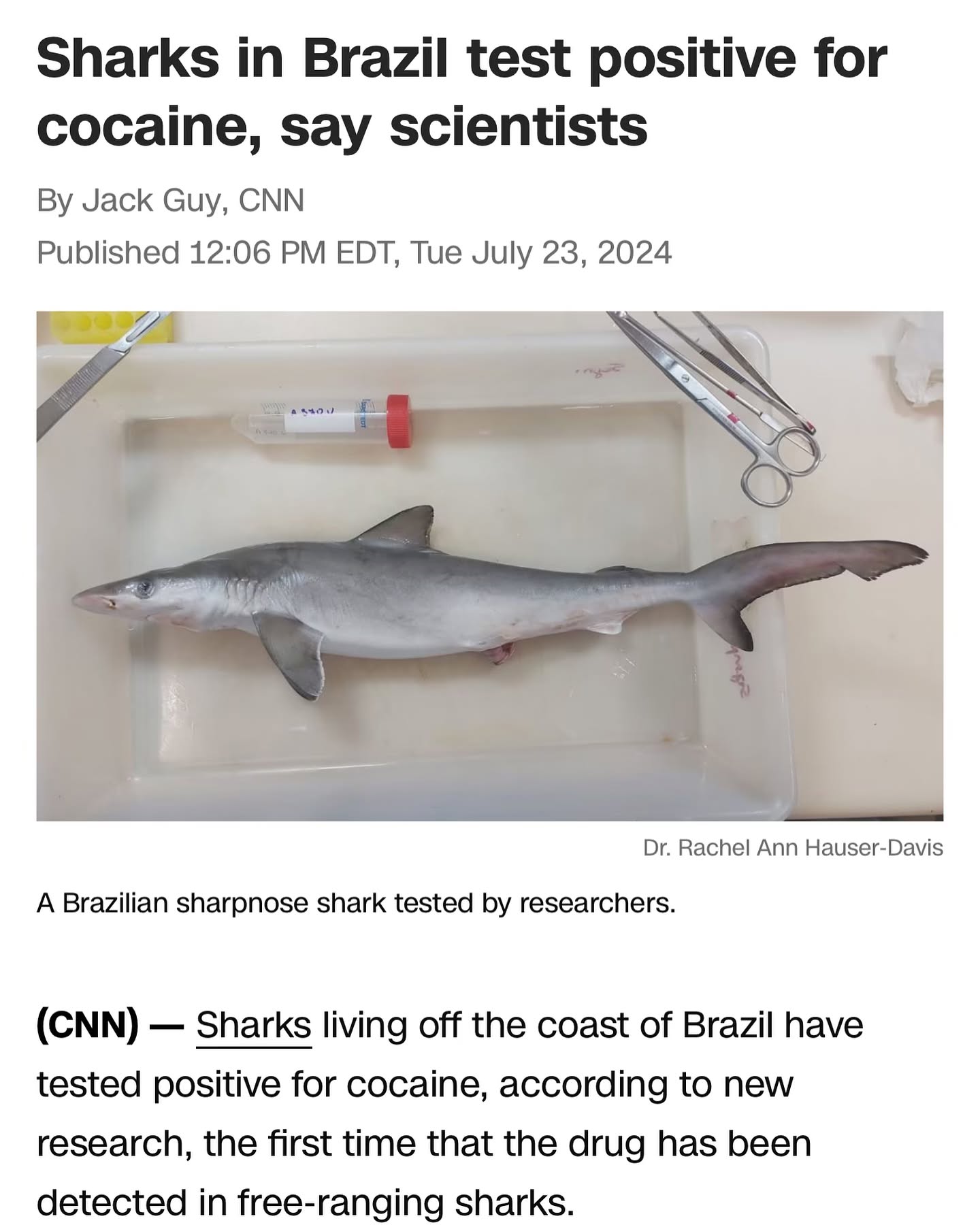 Just when you thought things couldn’t get more fun on this season of earth. Coked up sharks!  @joerogan