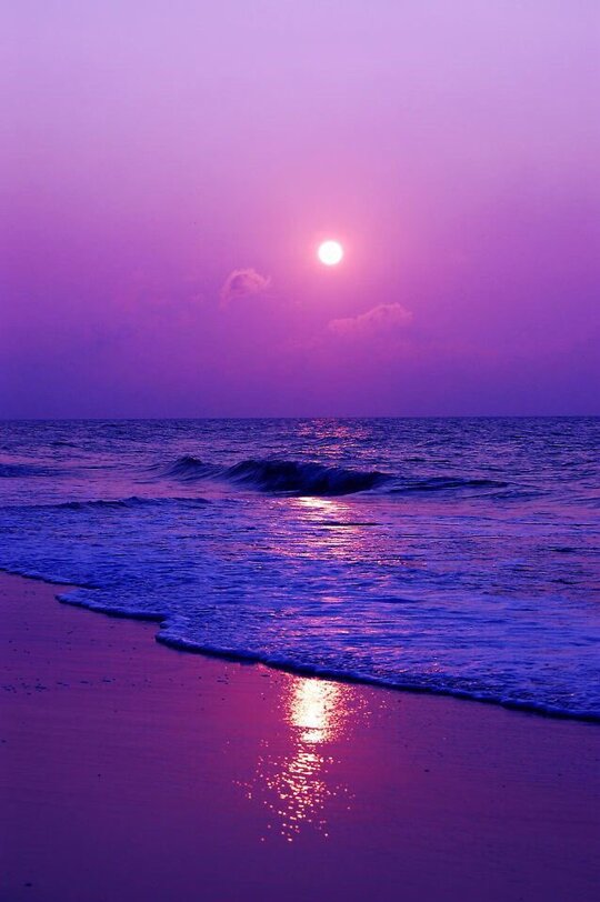 Purple sunset. 