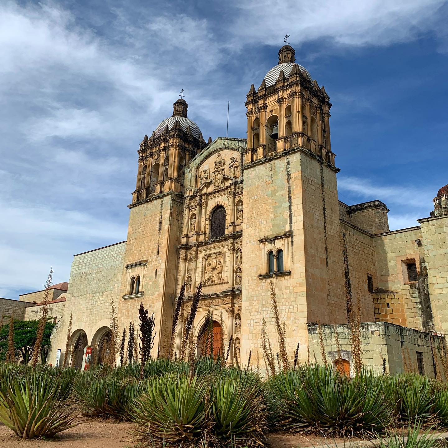 this weeks views 🌴🌵

!Oaxaca City!<br> @emm_arruda