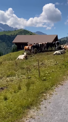 Switzerland🇨🇭<br> @putriwithlove