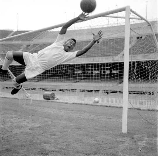 &Agrave;s vezes, a vida prop&otilde;e desafios que nos obrigam a sair de nossa zona de conforto. Pode n&atilde;o ser f&aacute;cil, mas nos faz crescer como indiv&iacute;duos e nos ensina que somos capazes de muito mais do que pens&aacute;vamos.
.
Sometimes life poses challenges that force us to step out of our comfort zone. It may not be easy, but it makes us grow as individuals and teaches us that we are capable of much more than we thought.&hellip; See more
  @Pele