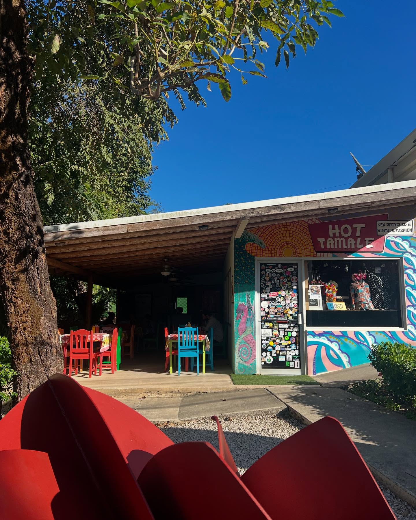 #puravida
#paradise<br> @oliviaarnaud