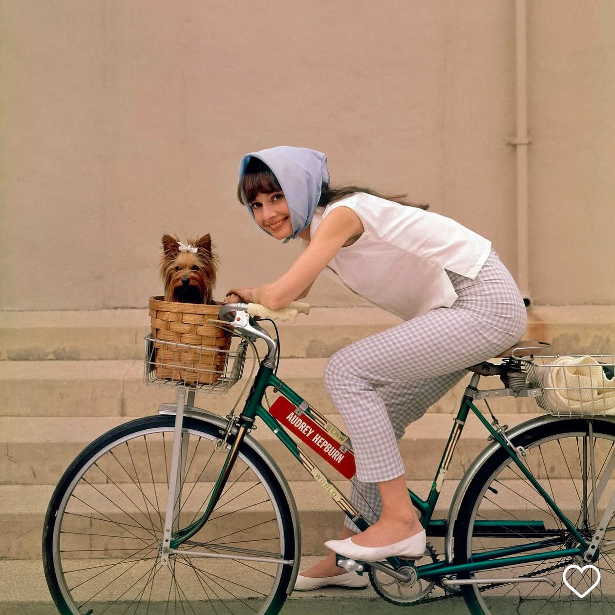 #sake #tequila #ontour
#sundayz
  @oliviaarnaud