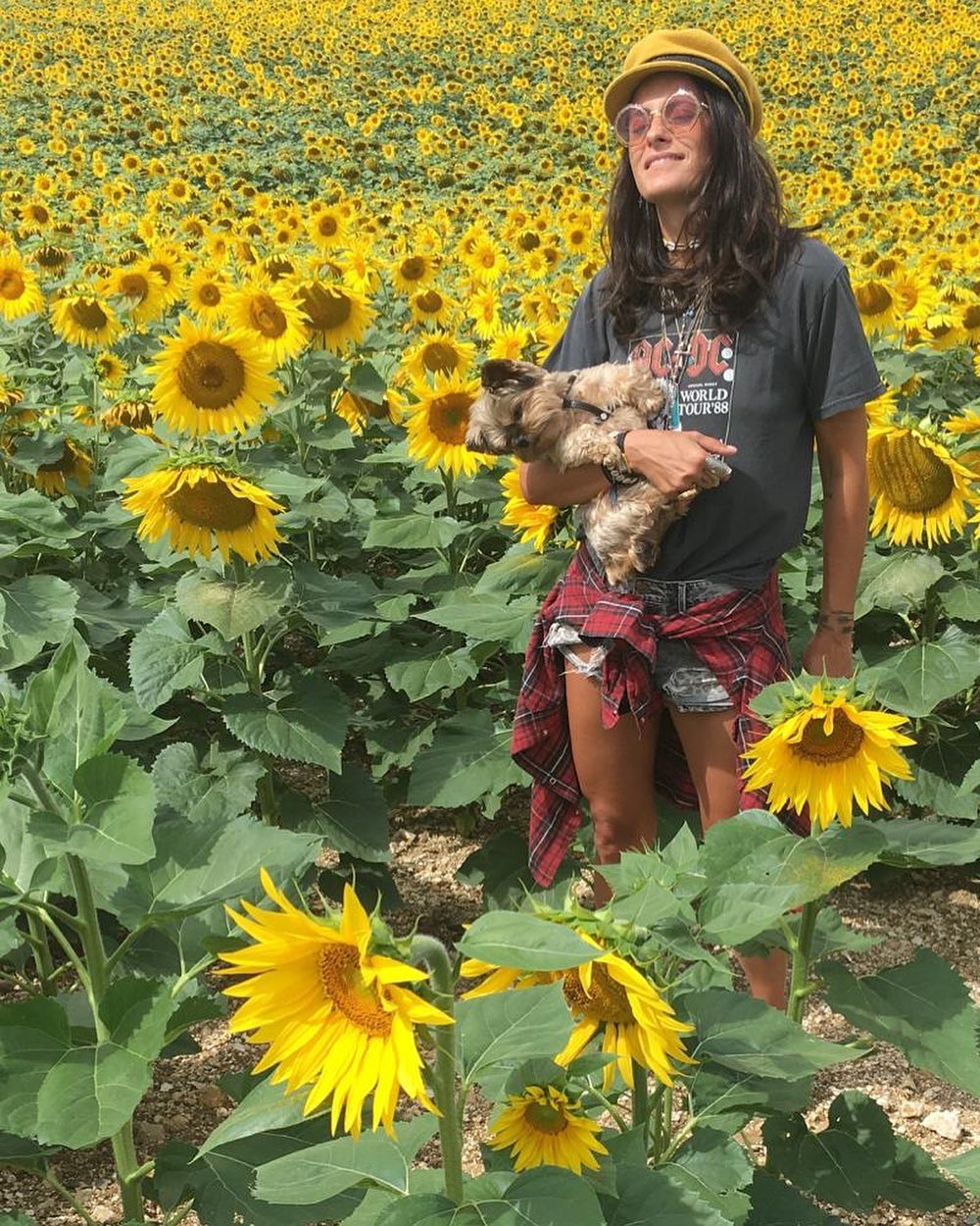 V a n D o g h.
.
.
.
#summerflower #flowerpower #sunflower #vandogh 🌻📸 @instacecco @oliviaarnaud