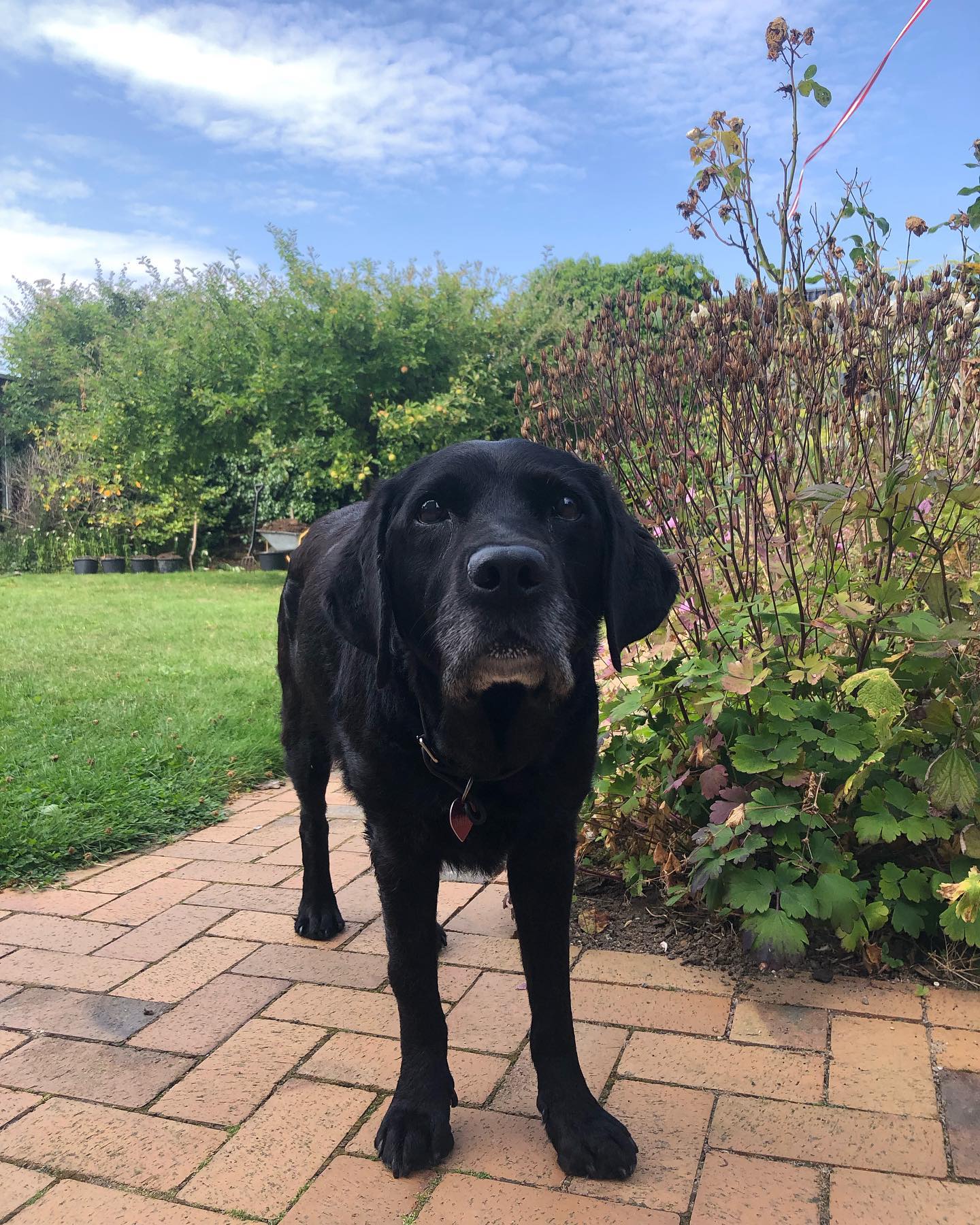 🖤

!Aarhus, Denmark!  @olicoool