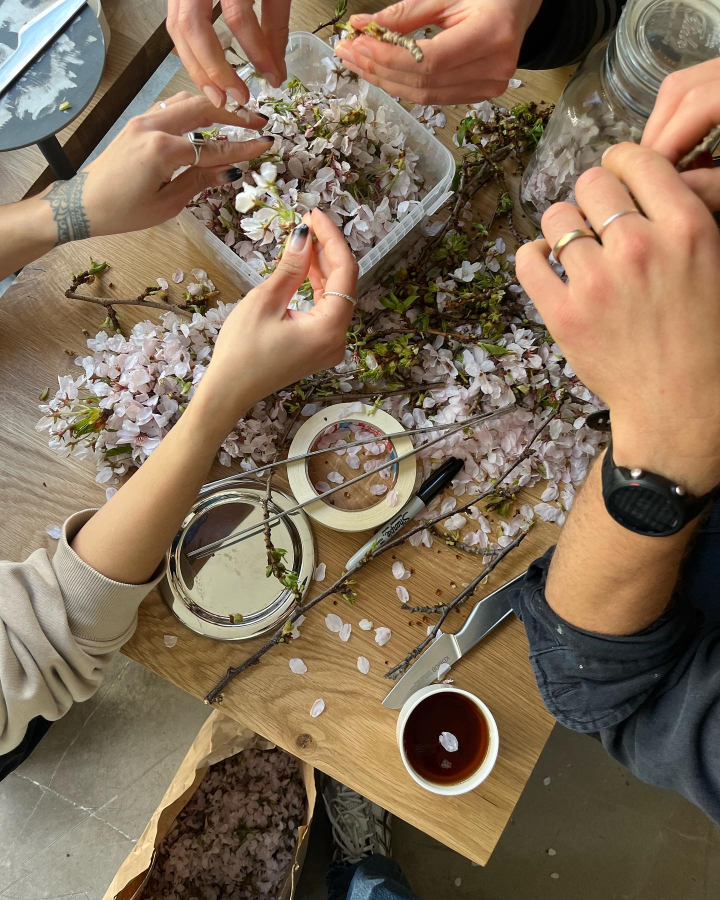 I have the coolest colleagues and we are wearing @asics while picking cherry blossom 🌸 to pickle for our sakura vinaigrette at @amatorcph 🟡 Listening to the coolest @onra_ and dreaming about trip to Japan together 🎌 Huge thanks @e45_office for your love and support 💞

!København Ø!  @olicoool