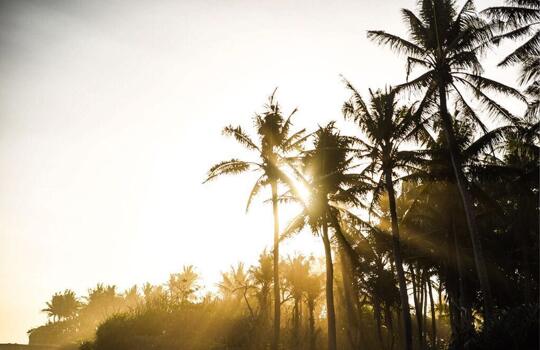 Bali is a place that invites you to feel, to live a life more connected.
it is an inspiring land that brings together people from all over the world who are creating beautiful and innovative things. #fluidays was born there and it's inspired in all the nice connections that we have been making. all these people are now our partners that will join our experiences in different parts of the world to make them unique. @olivianachle