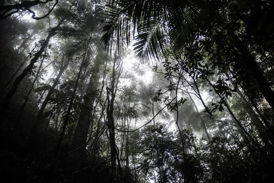 what lives outside is fully inside :) @olivianachle