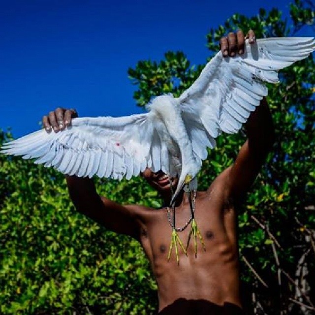 Jefferson e a garça -que dali, foi pra panela
Bahia @olivianachle