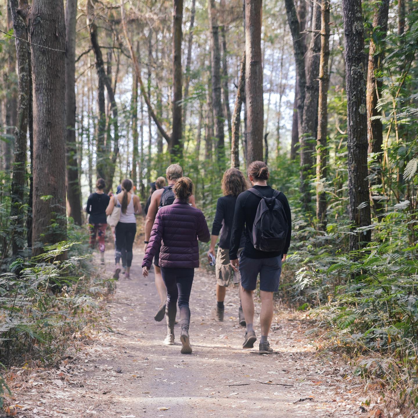 Every day that you keep on walking, you get stronger. Count your wins and blessings. Need anything? Habitat is always here for you.
📷 @olivianachle @olivianachle