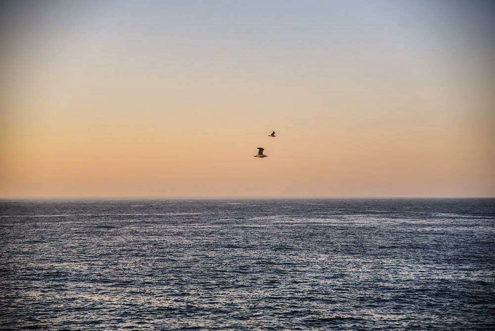 🌾suave sentido 🌾 @olivianachle