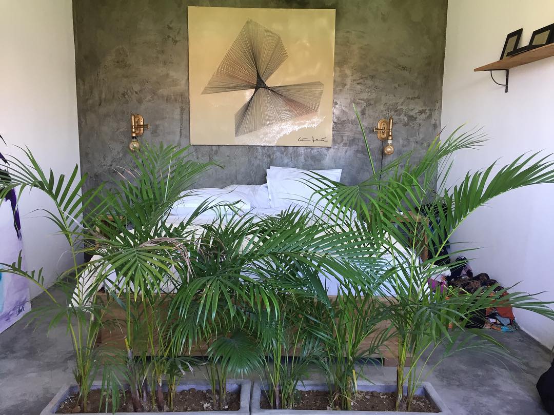 Bom dia 🌱 @olivianachle