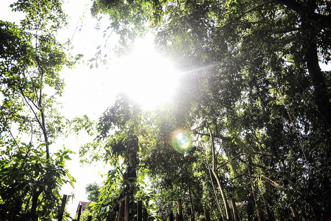 magic happens ✨ @olivianachle