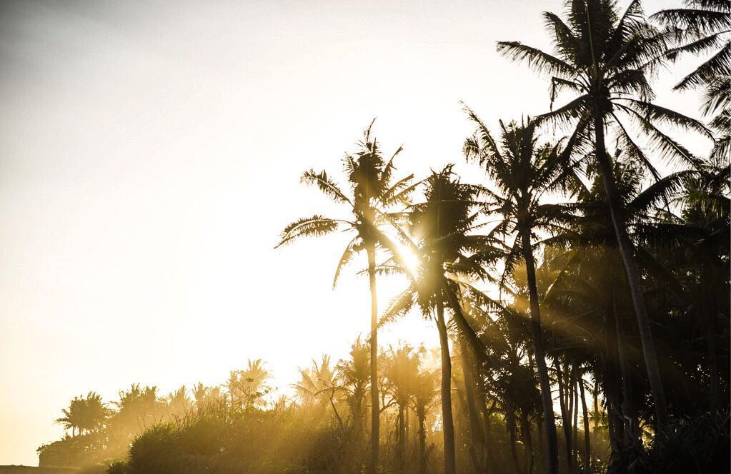 Bali is a place that invites you to feel, to live a life more connected.
it is an inspiring land that brings together people from all over the world who are creating beautiful and innovative things. #fluidays was born there and it's inspired in all the nice connections that we have been making. all these people are now our partners that will join our experiences in different parts of the world to make them unique. @olivianachle