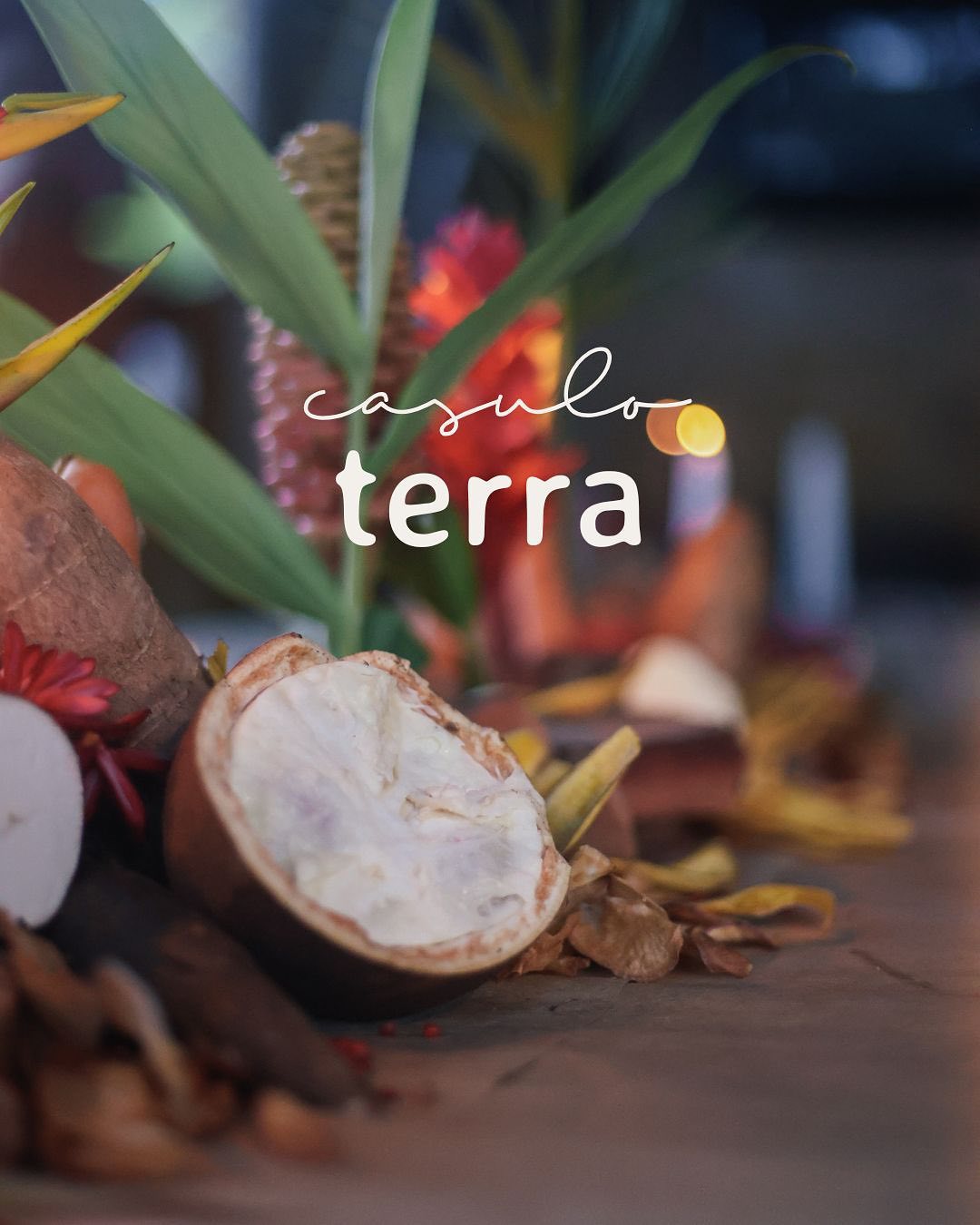 TERRA foi uma experiência que aconteceu no poderoso solo de Serra Grande, na Bahia.
foi uma ode à ancestralidade daquela terra, de dentro pra fora, da raiz até a mais alta folha. uma dança com tantos dos infinitos gostos e ritmos e cheiros que só a Bahia tem.
foi uma noite recheada com um jantar-arte de três etapas feito pelas @chef.deia e @helena.ulla ,
com intervenções de dança com a artista Fabrine Ferreira,
guiada pelos batuques do seu filho Nayã,
& com projeção do trabalho ‘terra etérea’, de Olivia Nachle.

gracias gracias aos parceiros que fazem acontecer: @coronabrasil @vivant @tocadatapioca @sitiolabareda

direção criativa e produção: @olivianachle
direção de arte e comida: @helenafarrula
menu por: @deia @tocadatapioca
dança e música : @fabrineferreira___ e Nayã
cerveja @corona
vinhos @viventevinhosvivos
locação mágica @sitiolabareda @biadebiancapereira @marcospacheco___

fotos: @olivianachle e @juliamafrasfotografia

!Serra Grande - BA!<br> @a__casulo