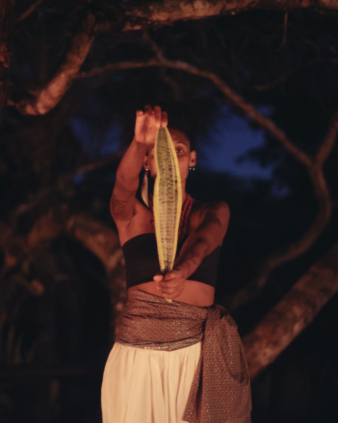 TERRA foi uma experiência que aconteceu no poderoso solo de Serra Grande, na Bahia.
foi uma ode à ancestralidade daquela terra, de dentro pra fora, da raiz até a mais alta folha. uma dança com tantos dos infinitos gostos e ritmos e cheiros que só a Bahia tem.
foi uma noite recheada com um jantar-arte de três etapas feito pelas @chef.deia e @helena.ulla ,
com intervenções de dança com a artista Fabrine Ferreira,
guiada pelos batuques do seu filho Nayã,
& com projeção do trabalho ‘terra etérea’, de Olivia Nachle.

gracias gracias aos parceiros que fazem acontecer: @coronabrasil @vivant @tocadatapioca @sitiolabareda

direção criativa e produção: @olivianachle
direção de arte e comida: @helenafarrula
menu por: @deia @tocadatapioca
dança e música : @fabrineferreira___ e Nayã
cerveja @corona
vinhos @viventevinhosvivos
locação mágica @sitiolabareda @biadebiancapereira @marcospacheco___

fotos: @olivianachle e @juliamafrasfotografia

!Serra Grande - BA!<br> @a__casulo