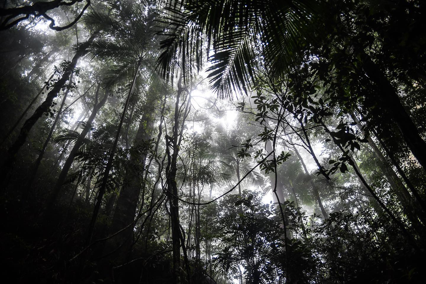 what lives outside is fully inside :) @olivianachle