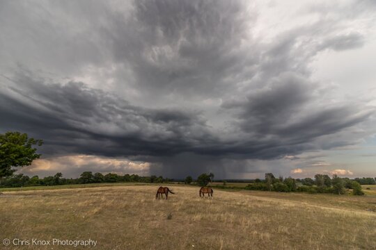 Didn't really expect to get any chasing opportunities today but it worked out not too bad.
Warkworth, Ontario
#onstorm #onwx #shareyourweather #ShotOnCanon
@weathernetwork @StormHour @IWeatherON @environmentca @caleybedore https://t.co/9hj6k4XakZ
@ChrisKnoxPhotog