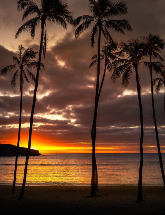 Have a great evening https://t.co/E1PwRd3BW1

@udontownme_T