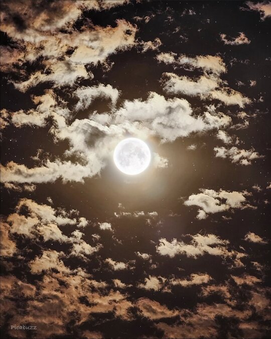 Moon gold. https://t.co/ud6Hz9rSeg

@themoonlovepic