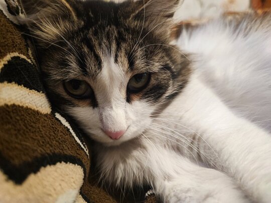 Всё в твитторе сидишь? https://t.co/nCLcxVNdTo

@areallady11