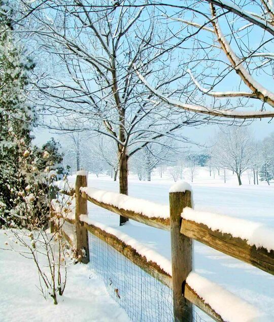 ❄️❄️❄️ https://t.co/Xd33cvolEd

@LoveSongs4Peace