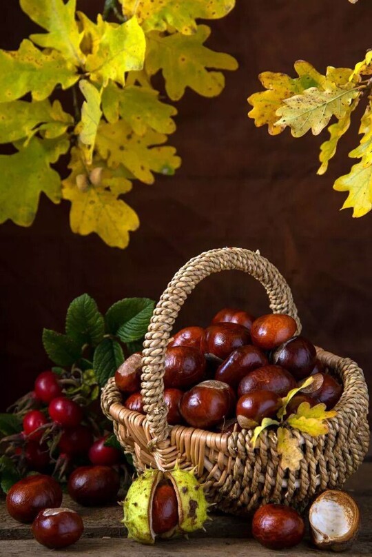 🍂🍒🍒🍂🍒🍒🍂🍒🍒🍂🍒🍒🍂 https://t.co/BRyRdZcofu

@Barbarelle24