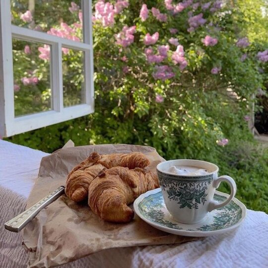 perfect day. https://t.co/x4Uo5tmBT9

@violettweets_