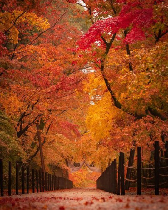 平和を感じる ~♪ https://t.co/jQhKeLbjex

@xxJBIebsCrew