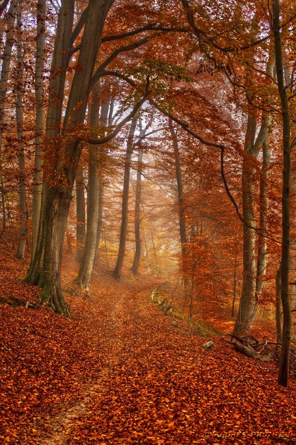 Beautiful https://t.co/5RnOaIIDkO

@helena_mar19