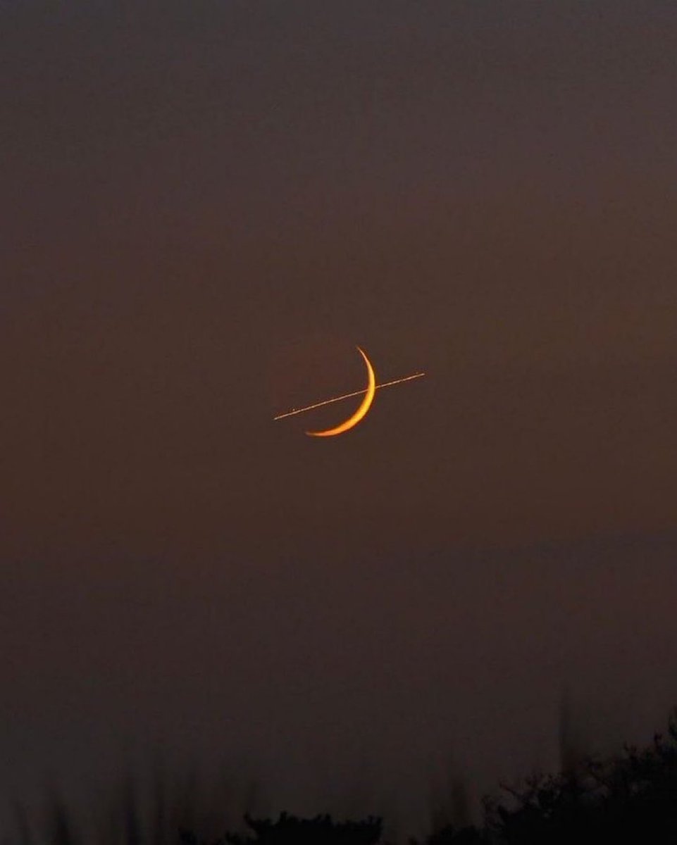 Love you 🌙 https://t.co/sc2mO9FIOd

@themoonlovepic