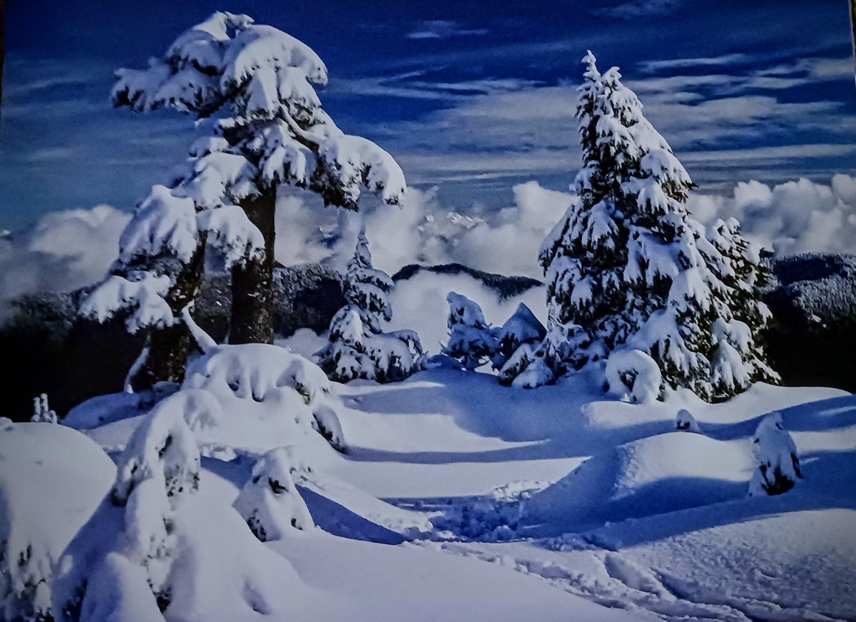 "On top of a mountain I feel so melomaniac I can hear natures songs!" #musicislife #naturelovers #photooftheday #NaturePhotography https://t.co/loRqfL2Ml9

@mhall55nine