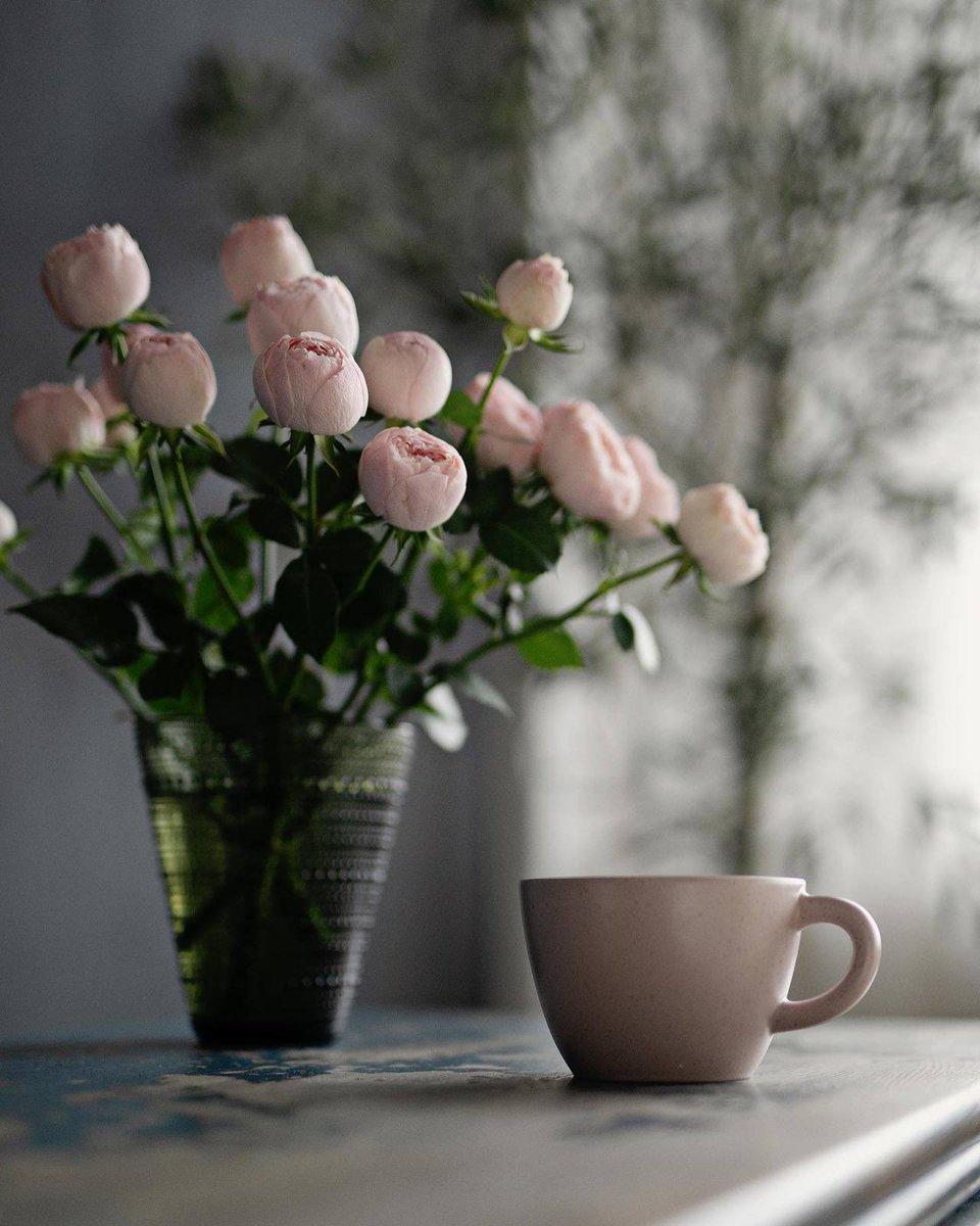 #morning ☕️🌸 https://t.co/w5IXB42ioE

@moraimauy