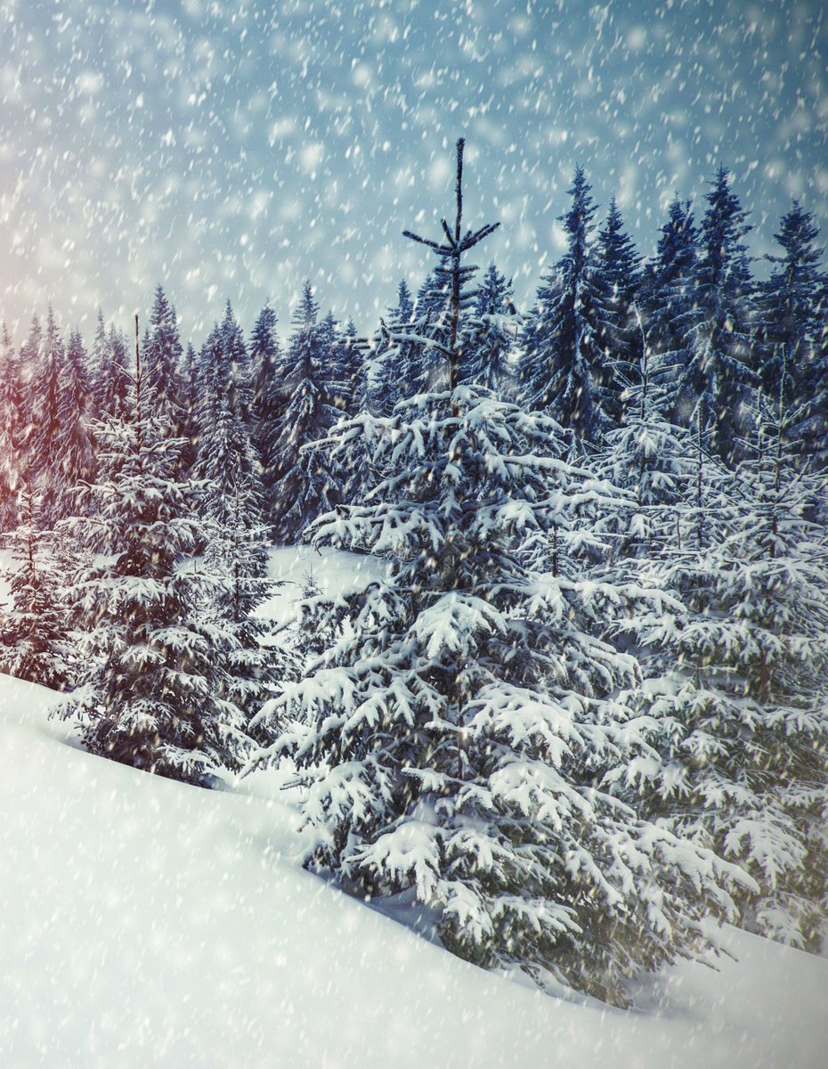 ❄️❄️❄️ https://t.co/rvhxFQPG46

@LoveSongs4Peace