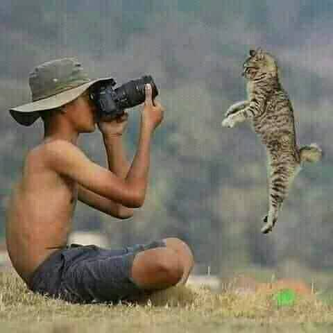 💚💚💚 https://t.co/JEjQ2Rf3xa

@zazafontaine42