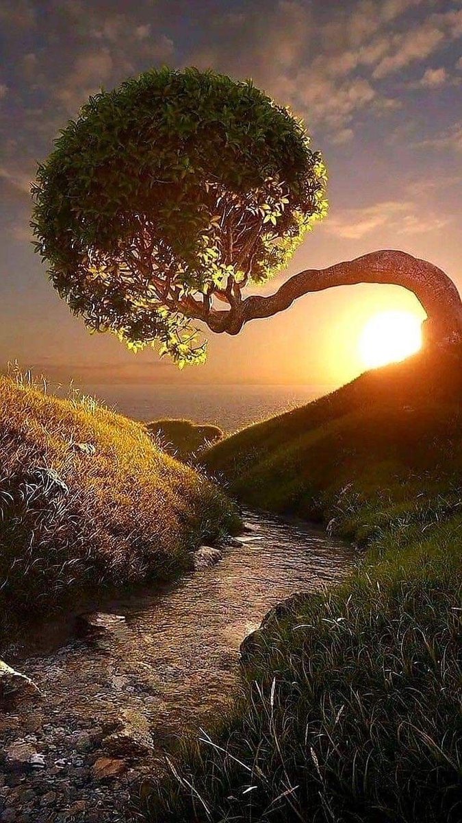 Bonsoir Twitter 🌺

Good evening my dears friends🌺 https://t.co/URC7kZBpO0

@Ouly05404755