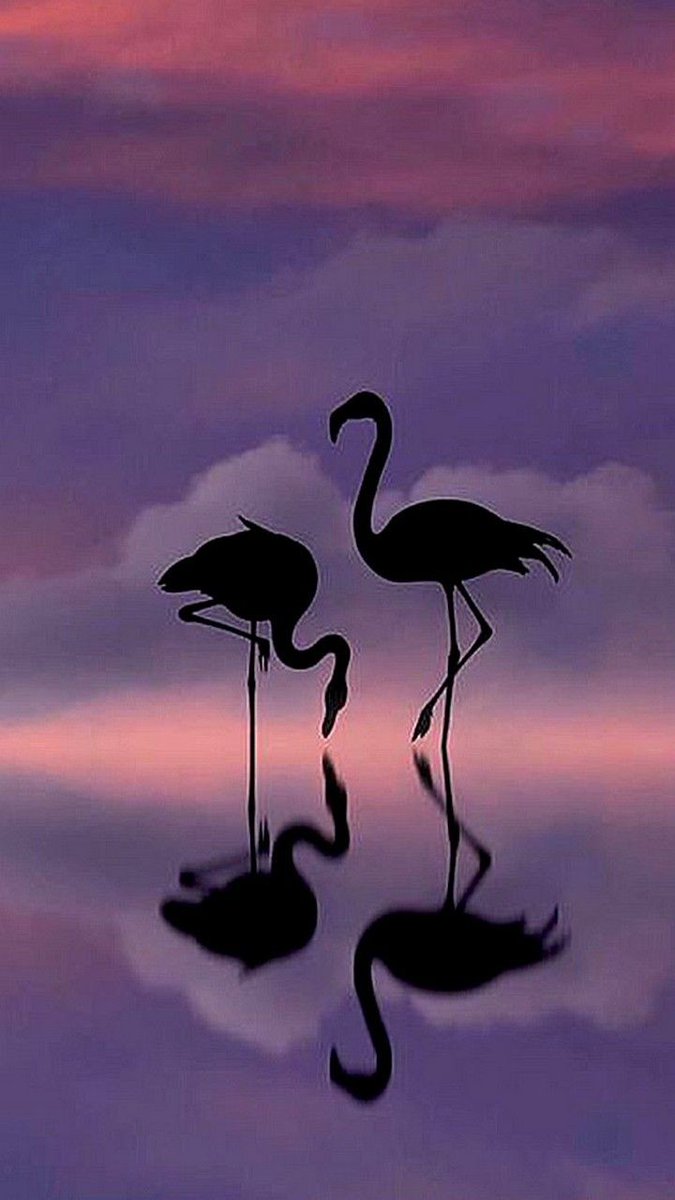 @koishakknahi Good night 🥰😘 https://t.co/ji5CoMPad0

@VickieSchn_