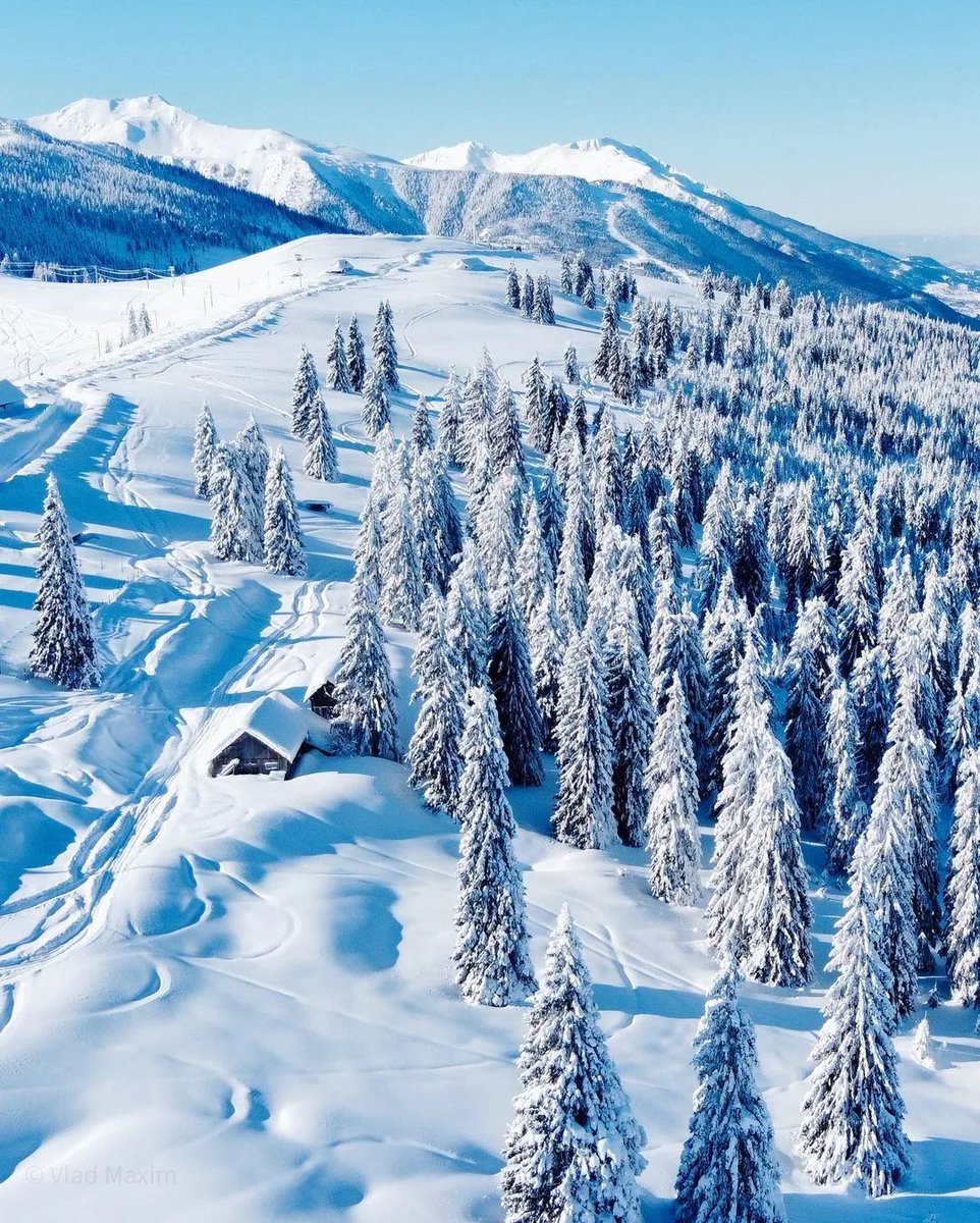 Good Morning ❄
Happy Day 💙 https://t.co/vVEnyOd7JH

@jacolek1981