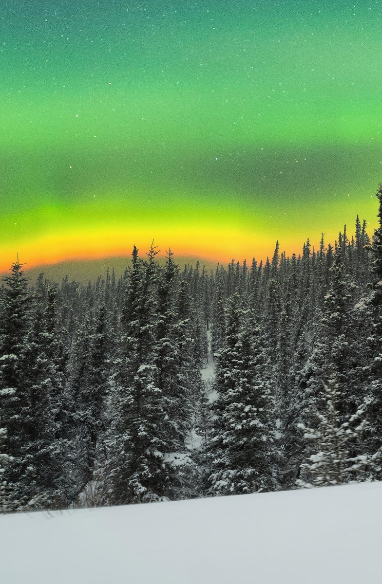 Rare orange Aurora above snowy forest in Lapland 🇫🇮 https://t.co/Rp2XZjLbHi

@LoveSongs4Peace