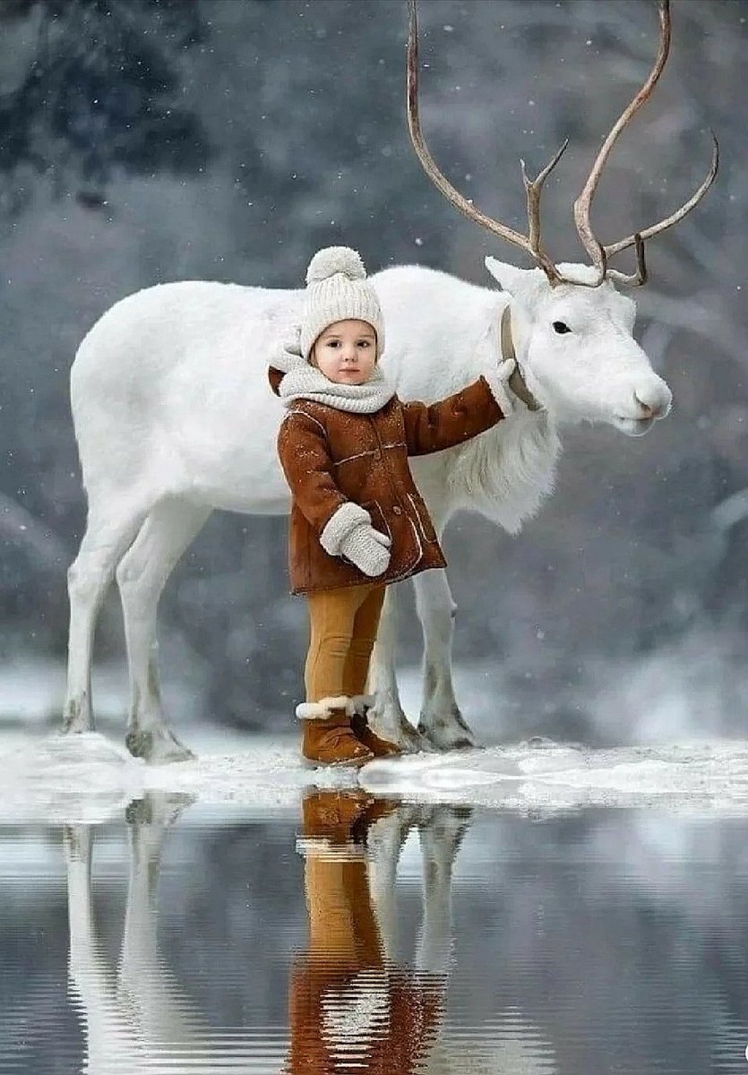 #MissUniverse #nature #photo #thursdayvibes #beautiful #cute https://t.co/oh20yJaplb

@David88_01