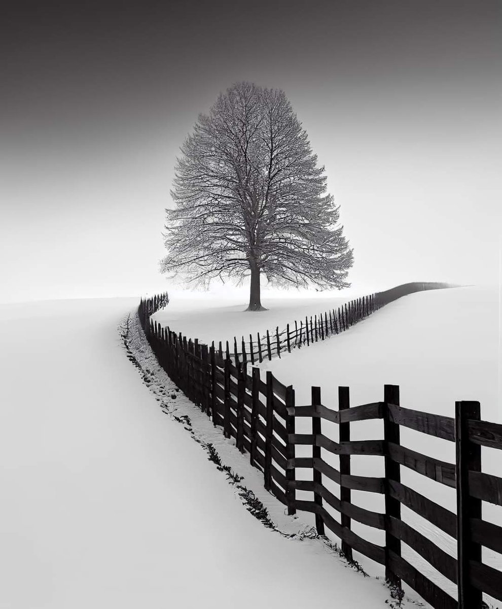 Peaceful 🖤🤍 https://t.co/6PK6PLbPlF

@raducu_nicoleta