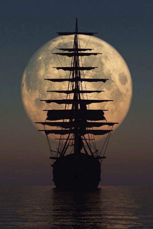 Good night 💙🌙✨
#NaturePhotography #moon #naturelovers #moonlight https://t.co/hcnxy7tat9

@Soul_Art8