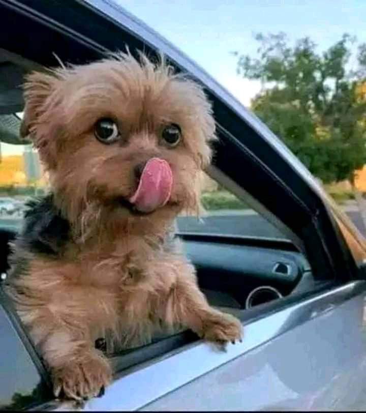 @blvckstallion__ A for me https://t.co/Np72Q8iVbR

@Pinicle_