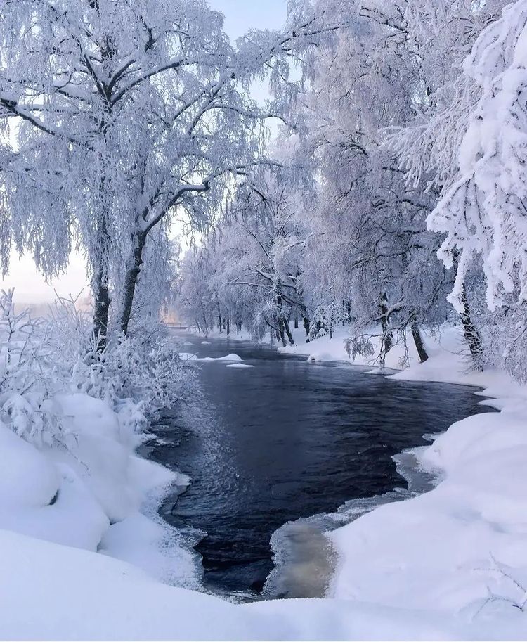 Good morning ! https://t.co/aC7nJ9J6o6

@coco_p2a